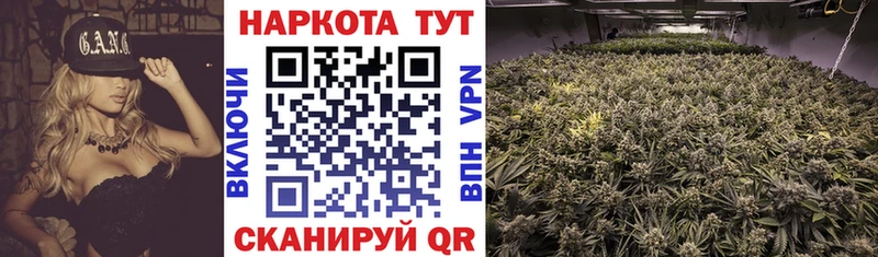 Как найти наркотики Новомичуринск Кокаин АМФЕТАМИН Метамфетамин Мефедрон Бошки Шишки Псилоцибиновые грибы