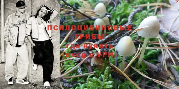 кокс Алексин