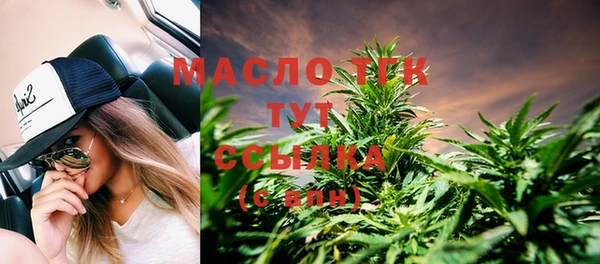дживик Гатчина