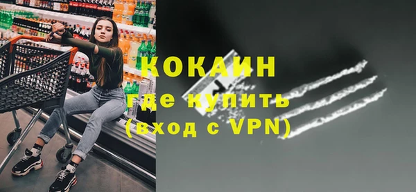 дживик Гатчина