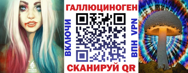 Псилоцибиновые грибы Cubensis  hydra рабочий сайт  Новомичуринск 